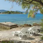 Neda Vela Luka